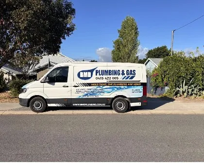 BMD VAN 2.jpg