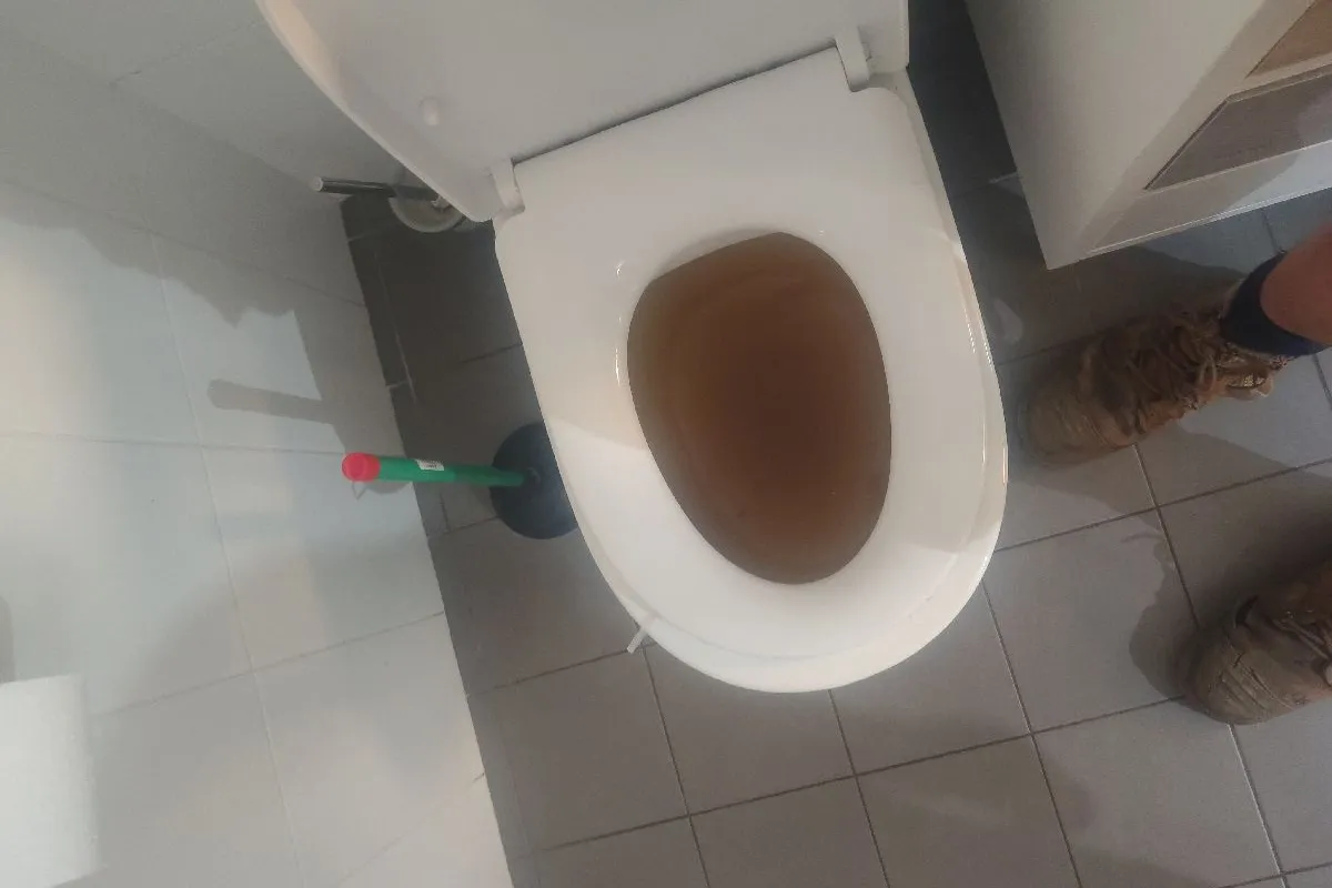 2026 June 5 JN49842 Sheymus Blocked toilet _Bunbury.jpg