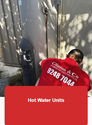 Picture1.png