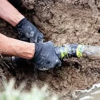 Perceptive Plumbing 1.jpg