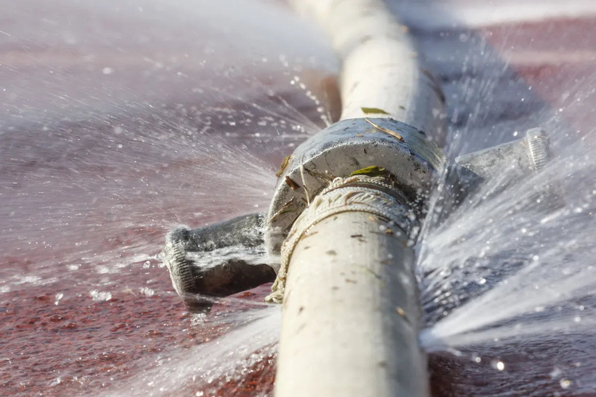 Wembley Plumbing & Gas 4.jpg