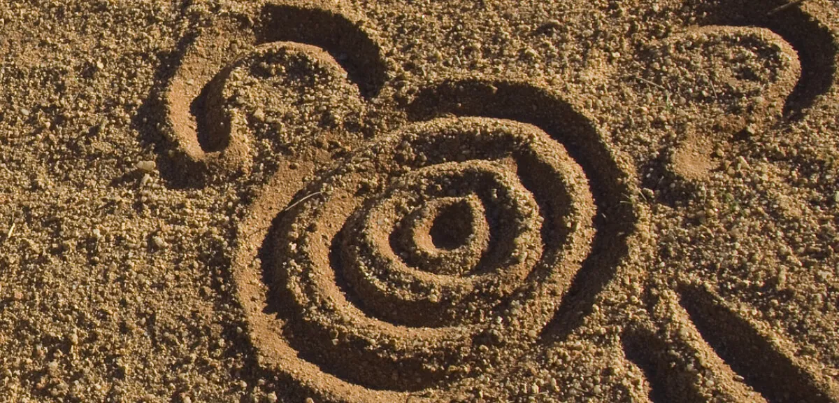 ig-header.jpg