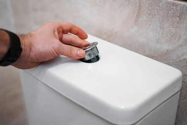 istockphoto-2190355056-612x612.jpg