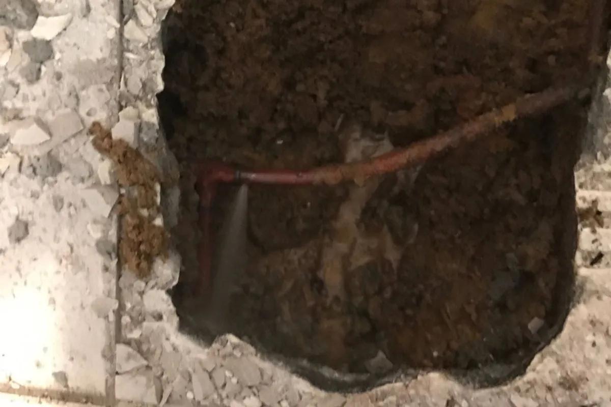 Pro Plus Plumbing 1.jpg