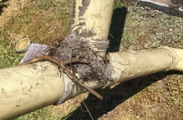 Superior Plumbing 2.jpg