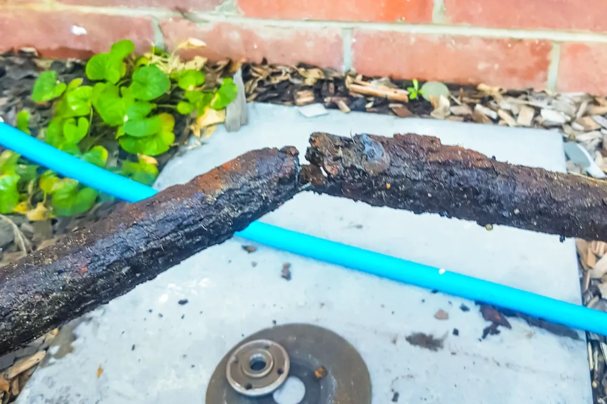 blue_horizon_04.jpg