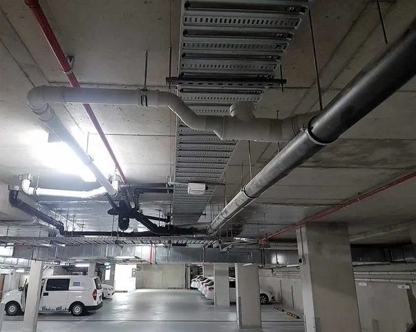 Picture1.jpg