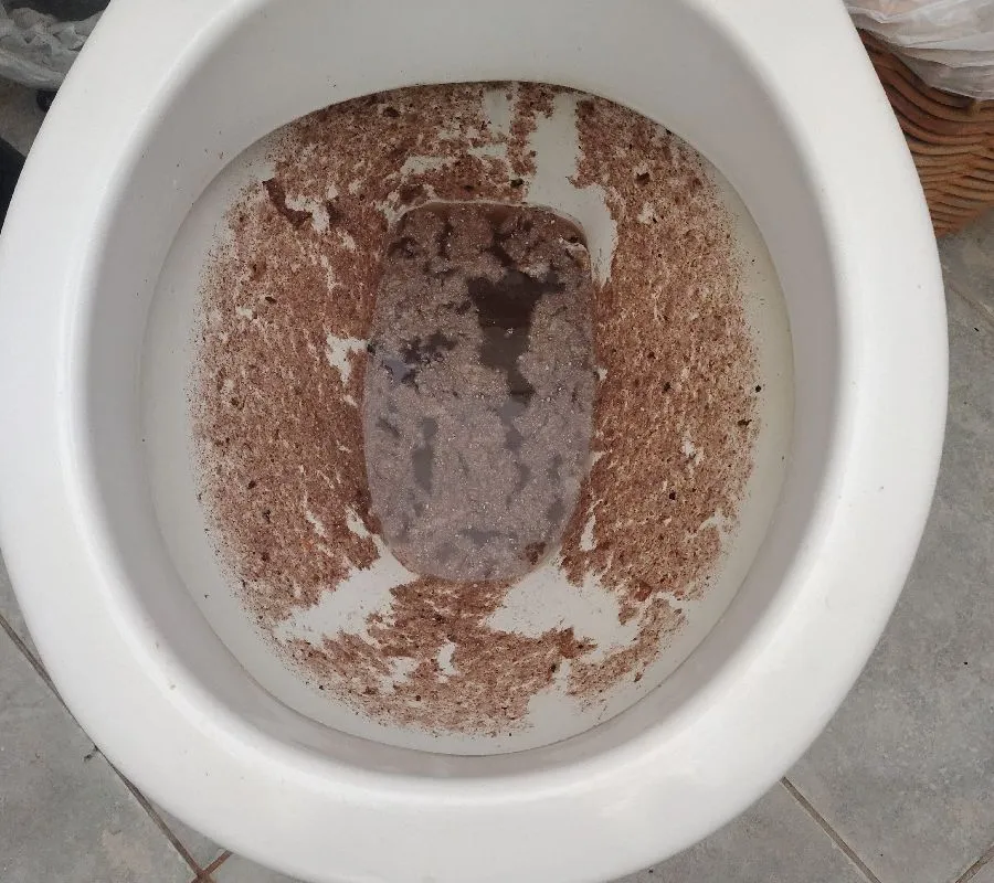 2025 October 20 JN48776 Jarrod Blocked toilet_Withers.jpg