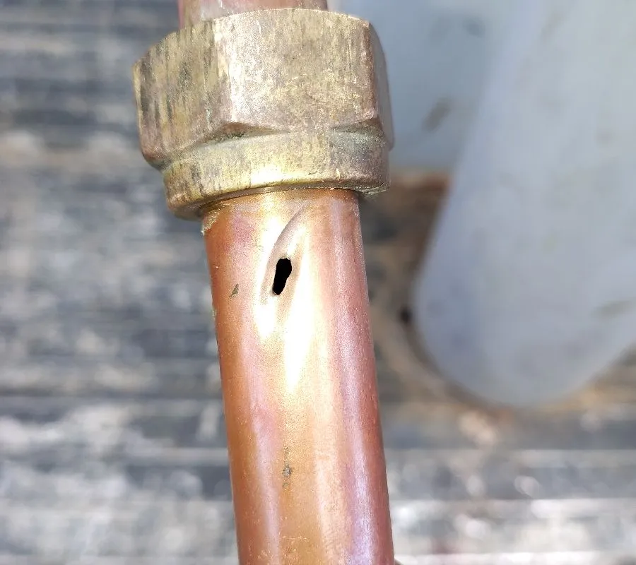 2026 February 3 Oliver and Taj Water leak at meter hole in pipe_Carey Park.jpg