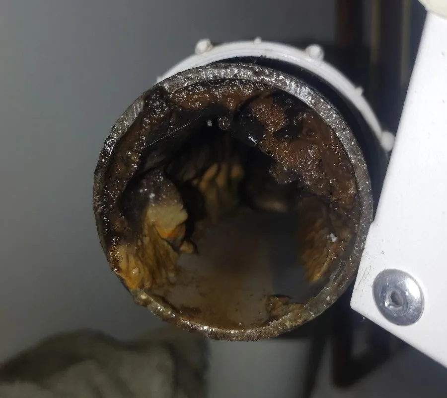 2026 July 14 JN50053 Taj Blocked kitchen sink Fat build up_Pelican Point.jpg