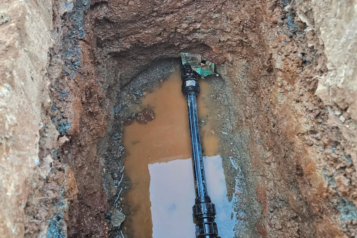 Roflow3.jpg