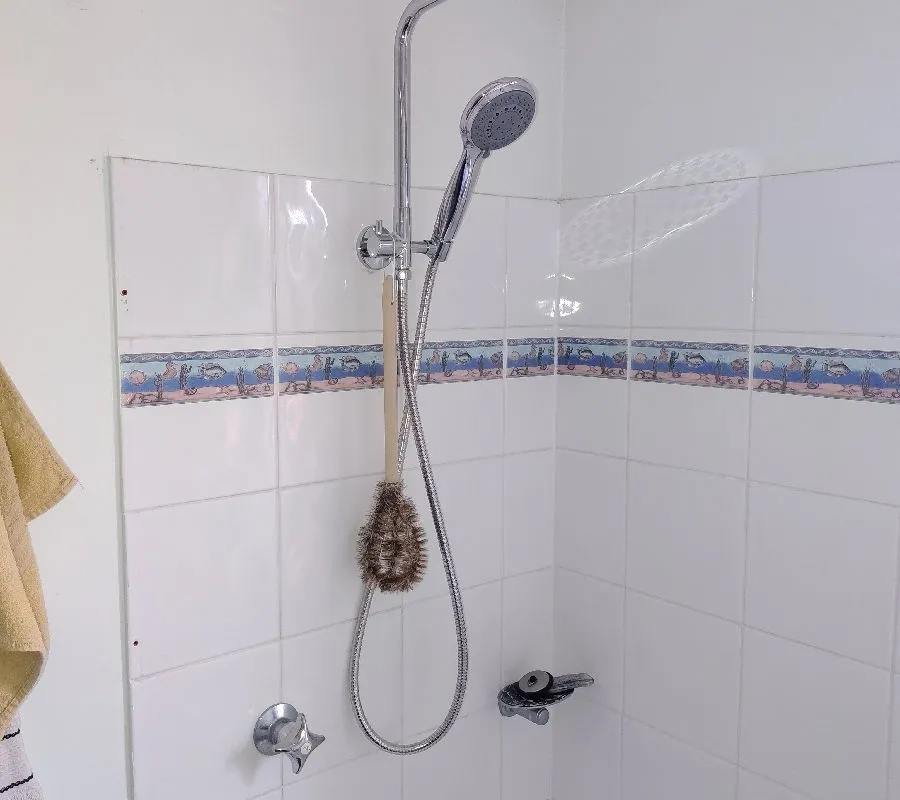 2026 January 9 Taj JN49123 Main bathroom Replacement of shower head_Australind.jpg