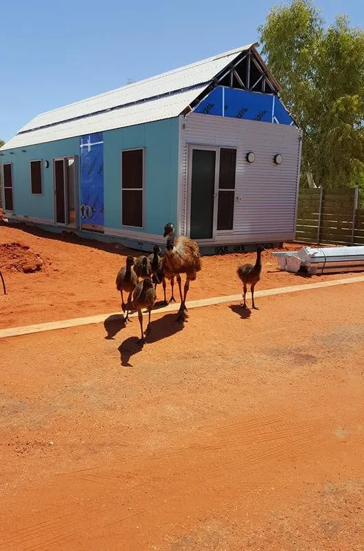 Emu.jpg