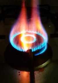 bonza pic 3.jpeg