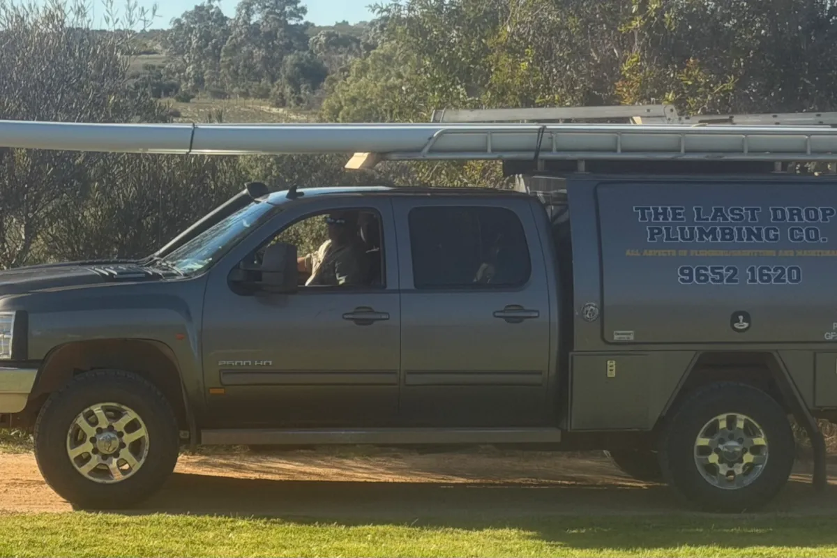 work ute  aa.jpeg