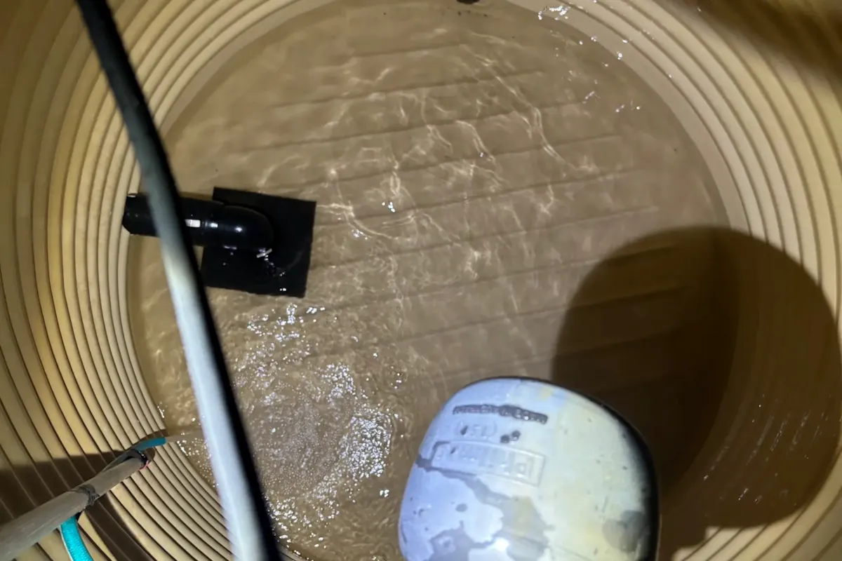 after_tank_clean.jpg
