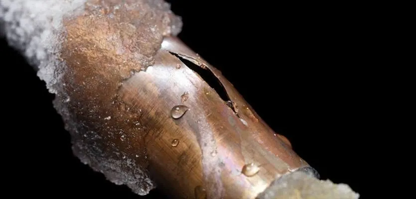 Pro Plus Plumbing 2.jpg