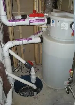 Picture2.jpg