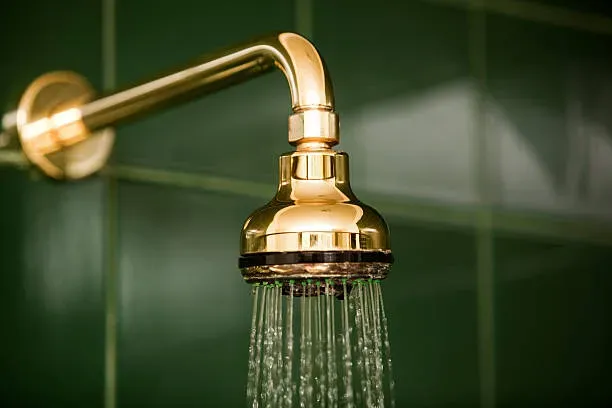 499644ada6794563953c1b13668b3786_istockphoto-157571374-612x612.webp