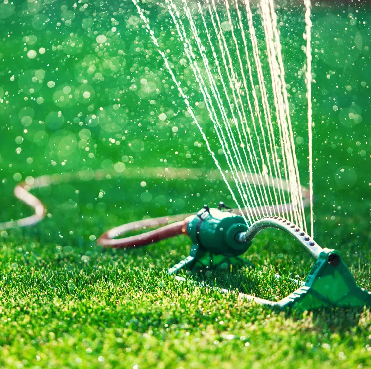 11_reticulation.jpg