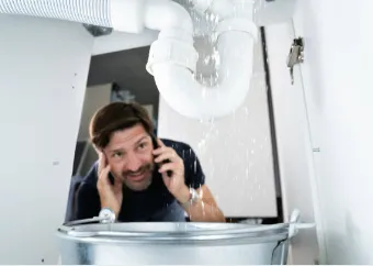 Picture8.png
