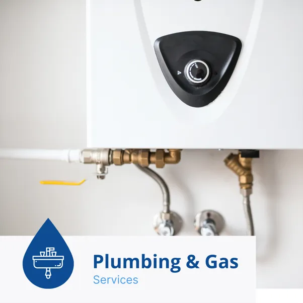 Picture1.png