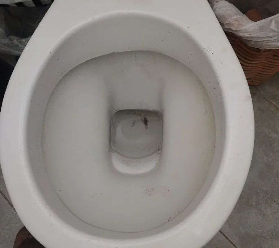 2025 October 20 JN48776 Jarrod Blocked toilet cleared_Withers.jpg