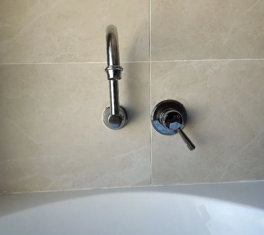 2025 November 25 JN48824 Jarrod and Harvey Bathroom Reno bath tap_Eaton.jpg