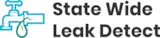 Statewide Leak Detect